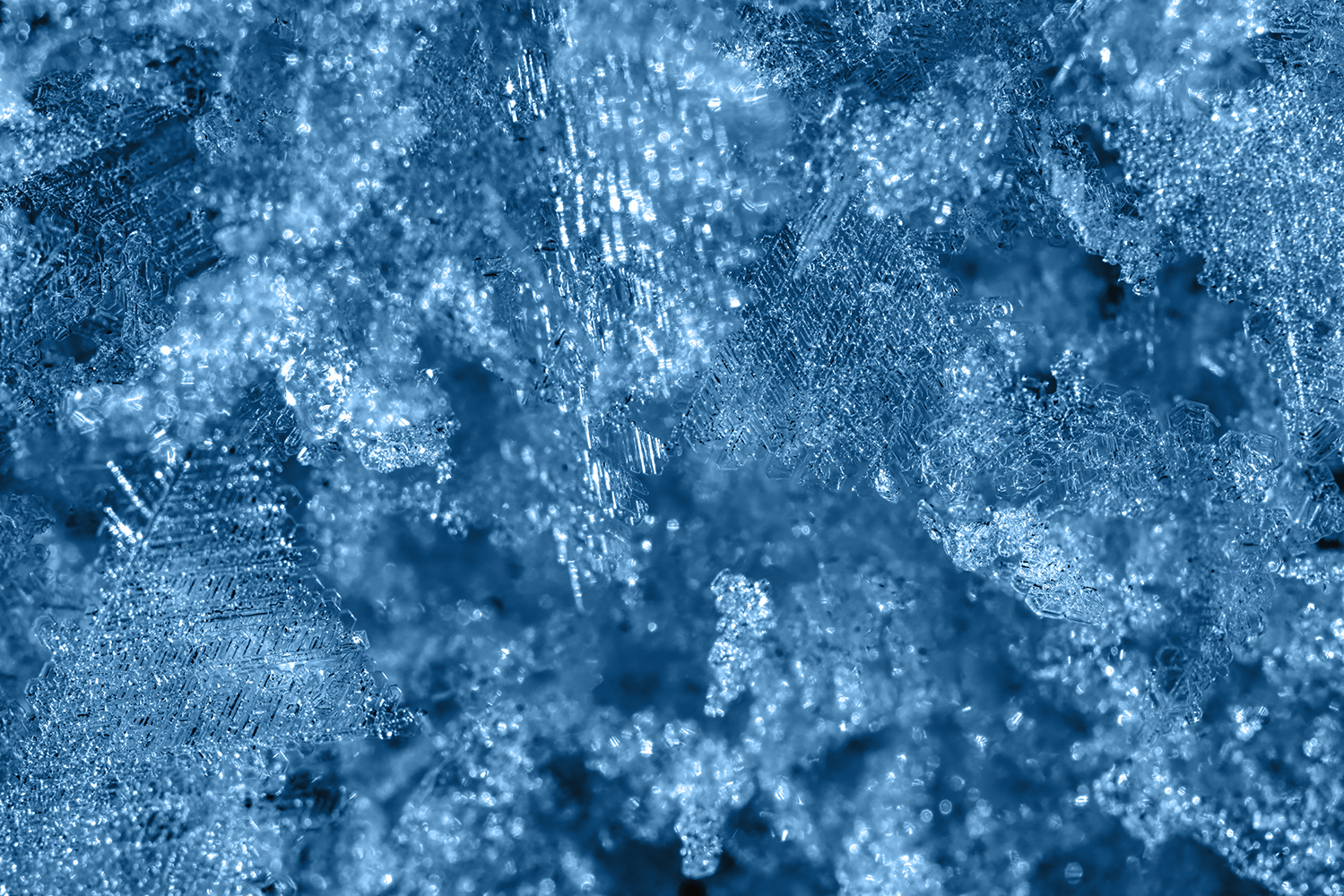 Ice Cold, My Front Yard, Strathmore, AB, 2022-01-18