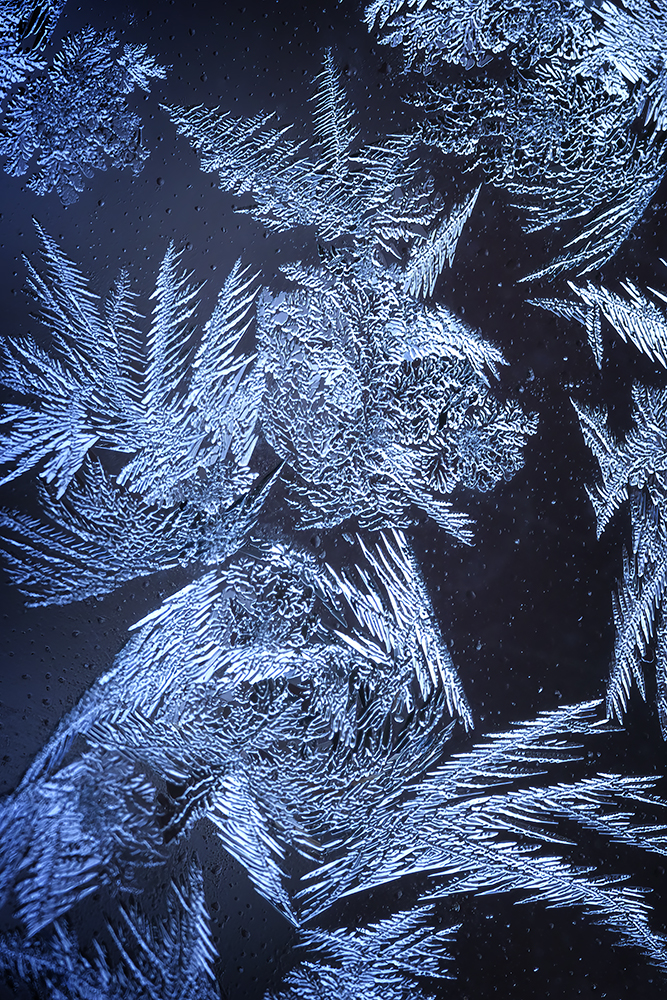 Stay Frosty, Patio Door, Strathmore, AB, 2023-02-02