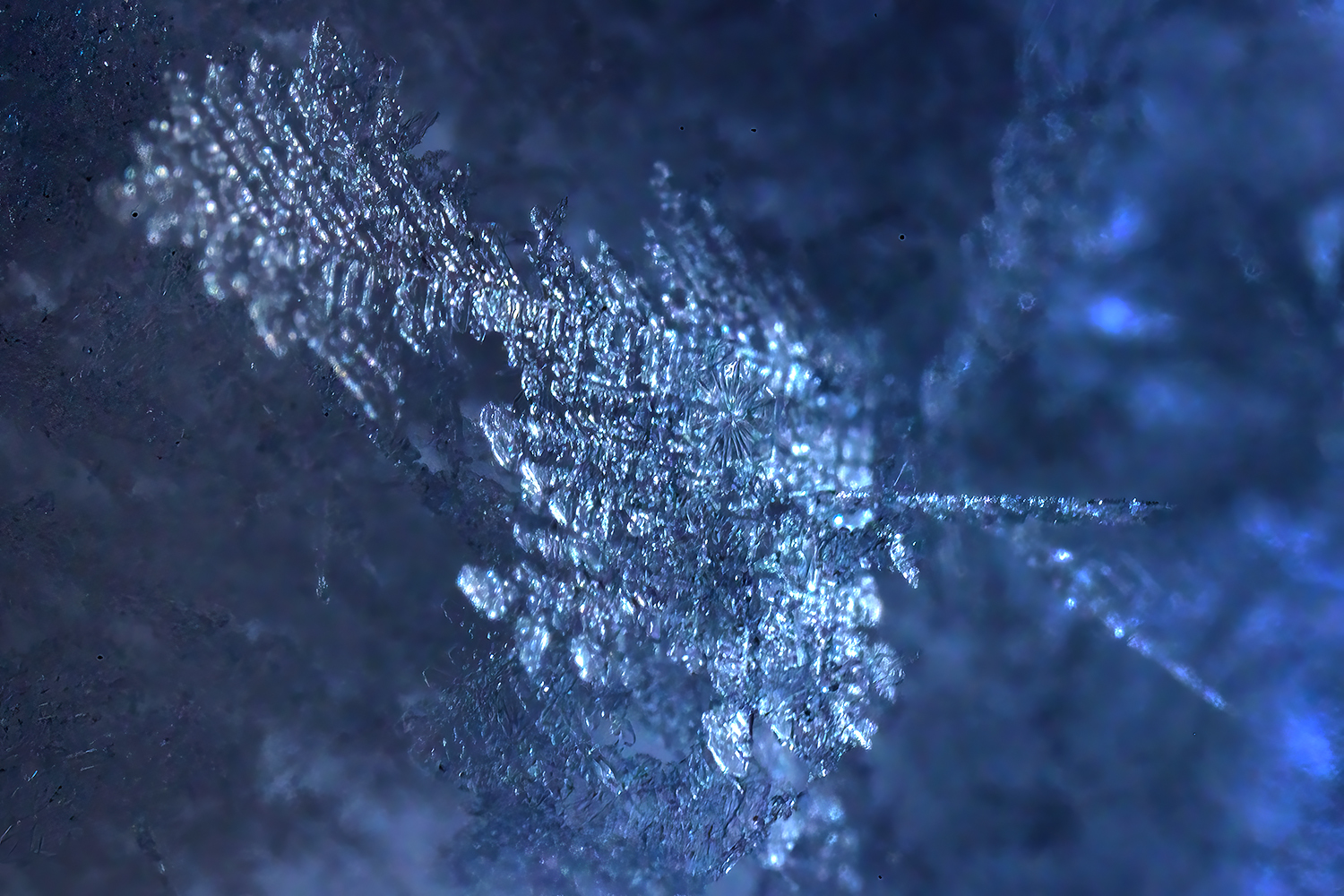 Frosted Off, Hoar Frost on BBQ Cover, My Back Yard, Strathmore, AB, 2022-03-12