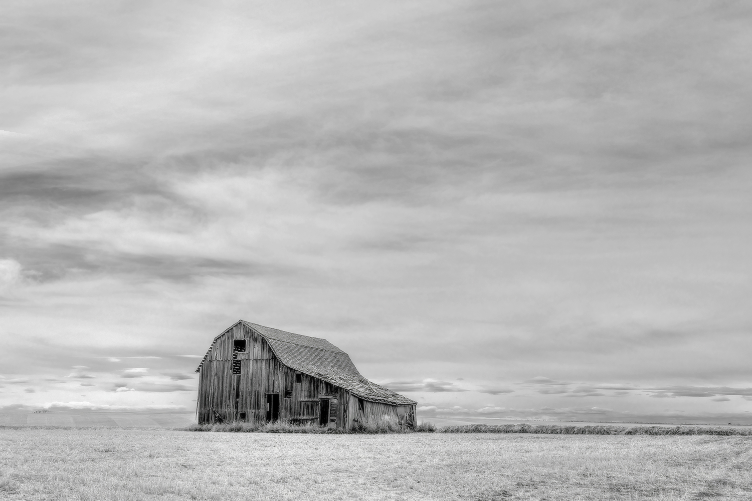 The Prairie Life Is A Lonely Life, Highway 21, North of Trochu, Alberta. 2023-04-23