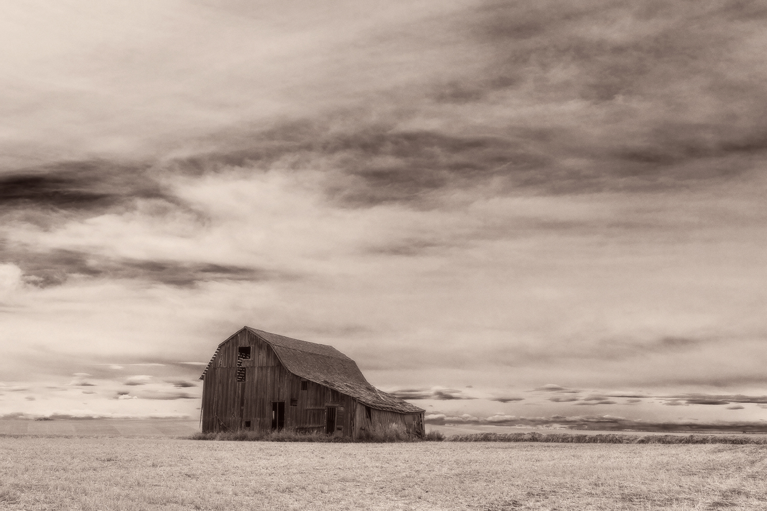 Old Barn, Tea Stained, Highway 21, North of Trochu, Alberta. 2023-04-23