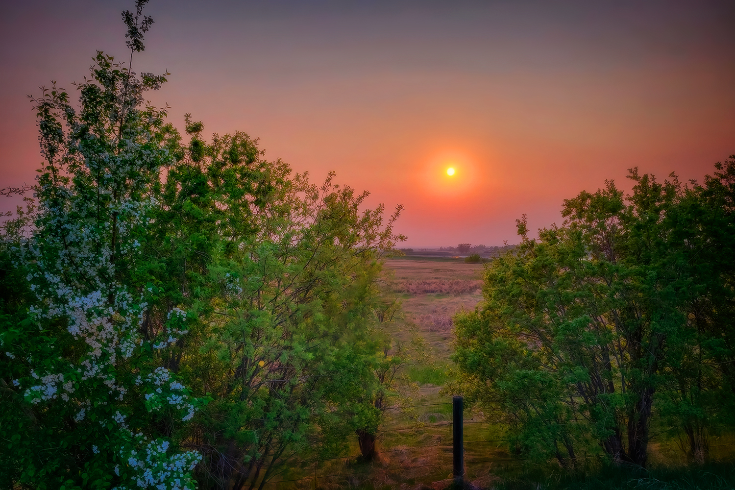 Smoky Dusk North of Town, Strathmore, Alberta. 2023-05-18