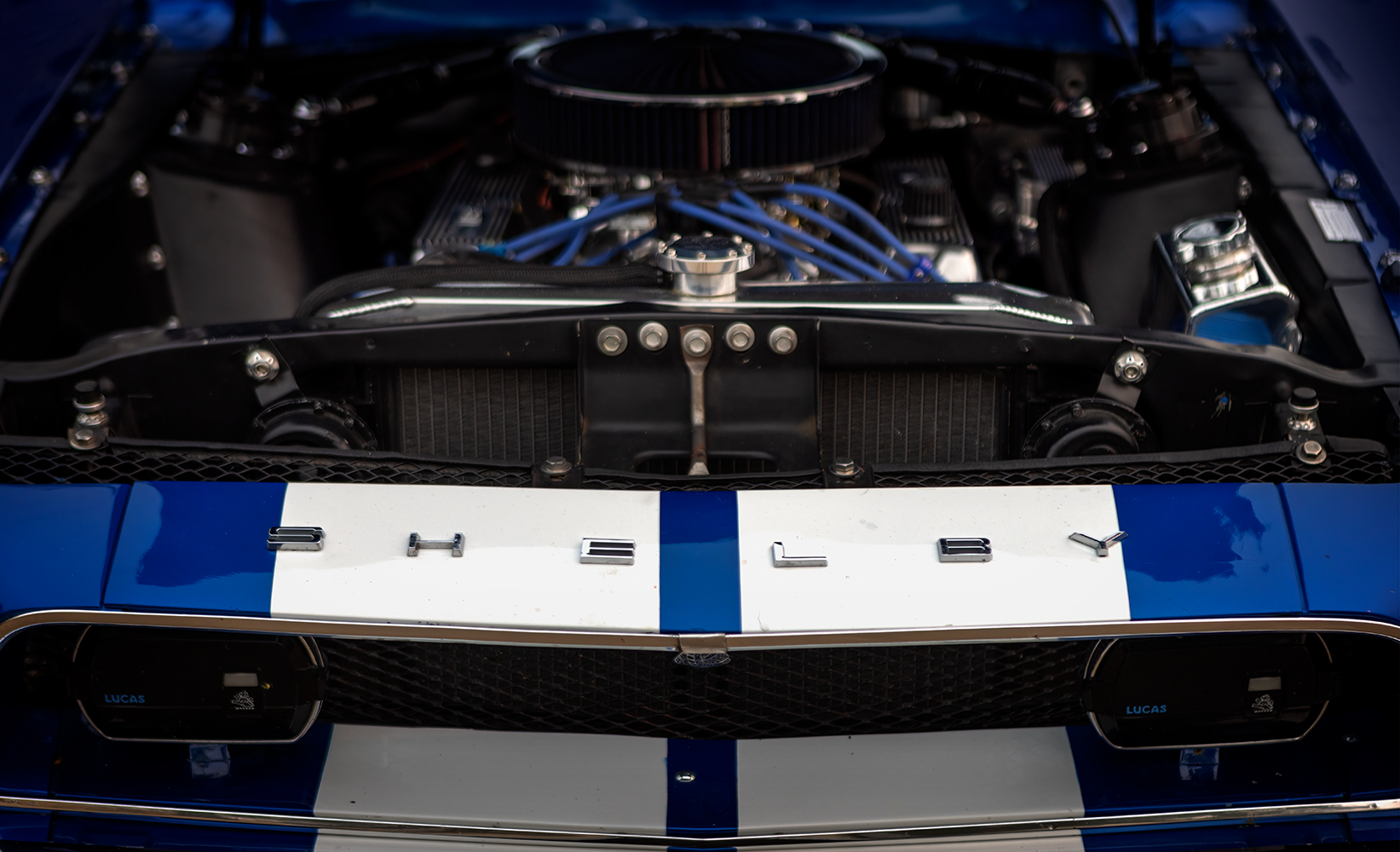 Shelby GT Front Badge & Engine Bay, Classic Ford Mustang, Morrin, Alberta. 2023-05-20