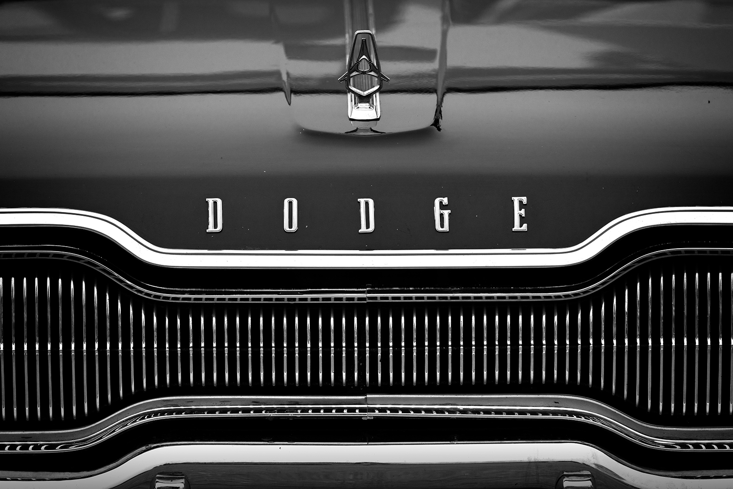 Don't be gettin' all up in ma grill, Dodge Monaco, Morrin, Alberta. 2023-05-20