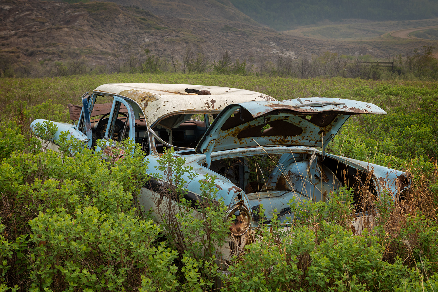 Quite literally put out to pasture, Taylor Siding, Alberta. 2023-05-20