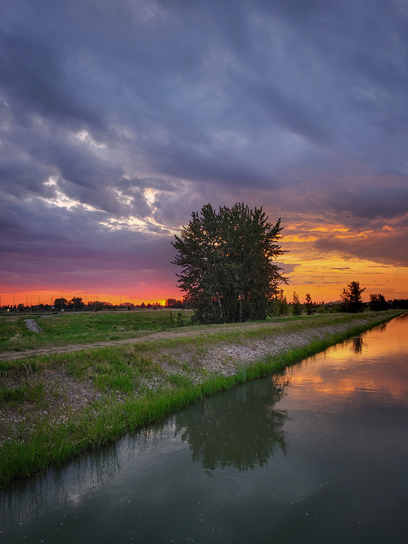 Tree Reflected, Irrigation Canal North of Tom Sadler Bridge, Strathmore, Alberta. 2023-06-08