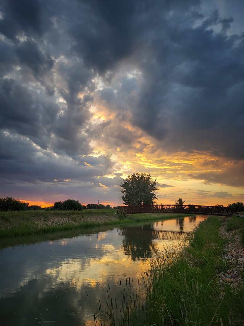 Brief Burst of Colour, Tom Sadler Bridge, Strathmore, Alberta. 2023-06-08