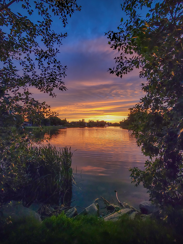 Sneak Peek, Kinsmen Lake, Strathmore, Alberta. 2023-06-16