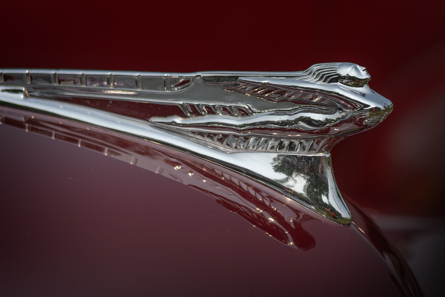 Hood Decoration, DeSoto Coupe, Show n Shine, Kinsemen Park, Strathmore, Alberta. 2023-07-15