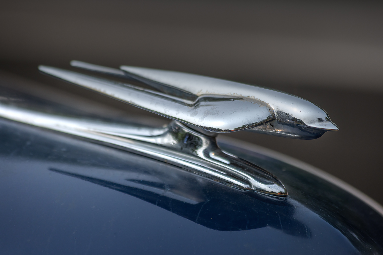 A Bird in the Hand, Show n Shine, Kinsemen Park, Strathmore, Alberta. 2023-07-15