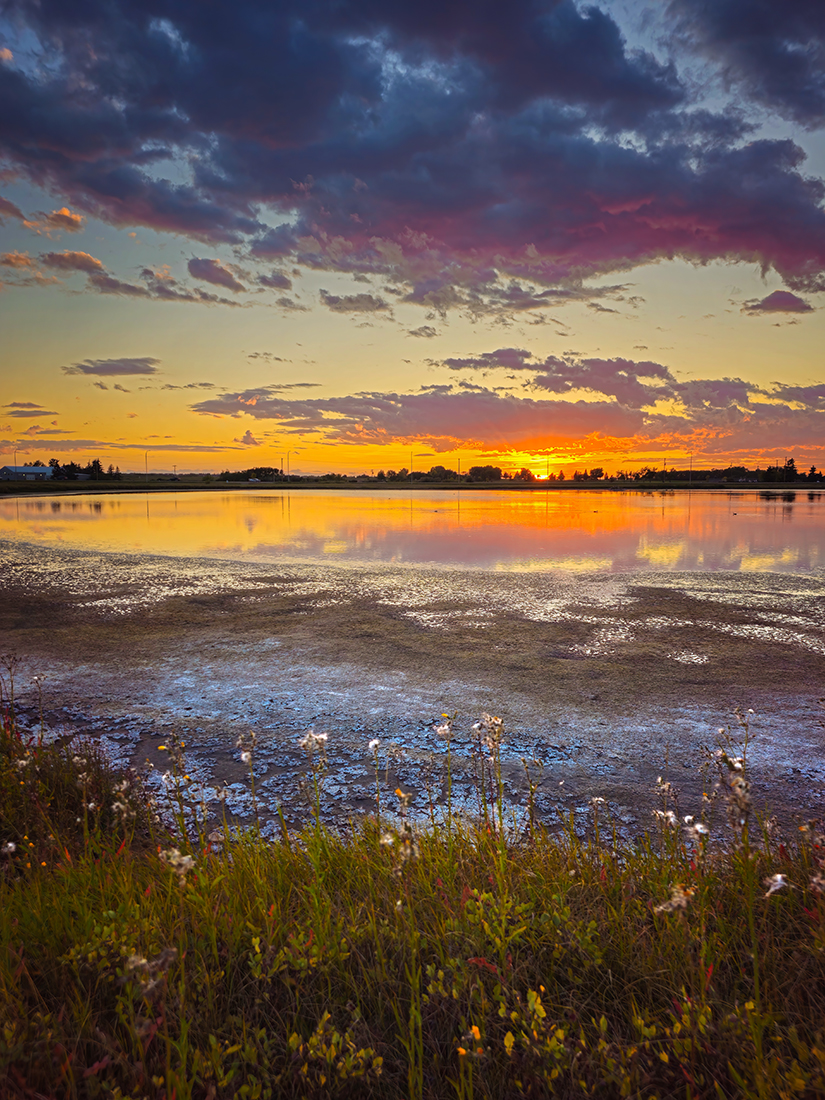 Pass the Moisturizer, Receding Water, Gray Pond, Strathmore, Alberta, 2023-09-13
