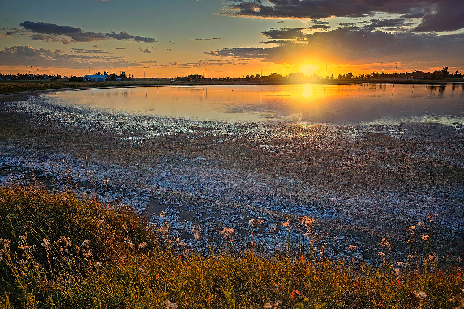 High and Dry, Receding Water, Gray Pond, Strathmore, Alberta, 2023-09-13