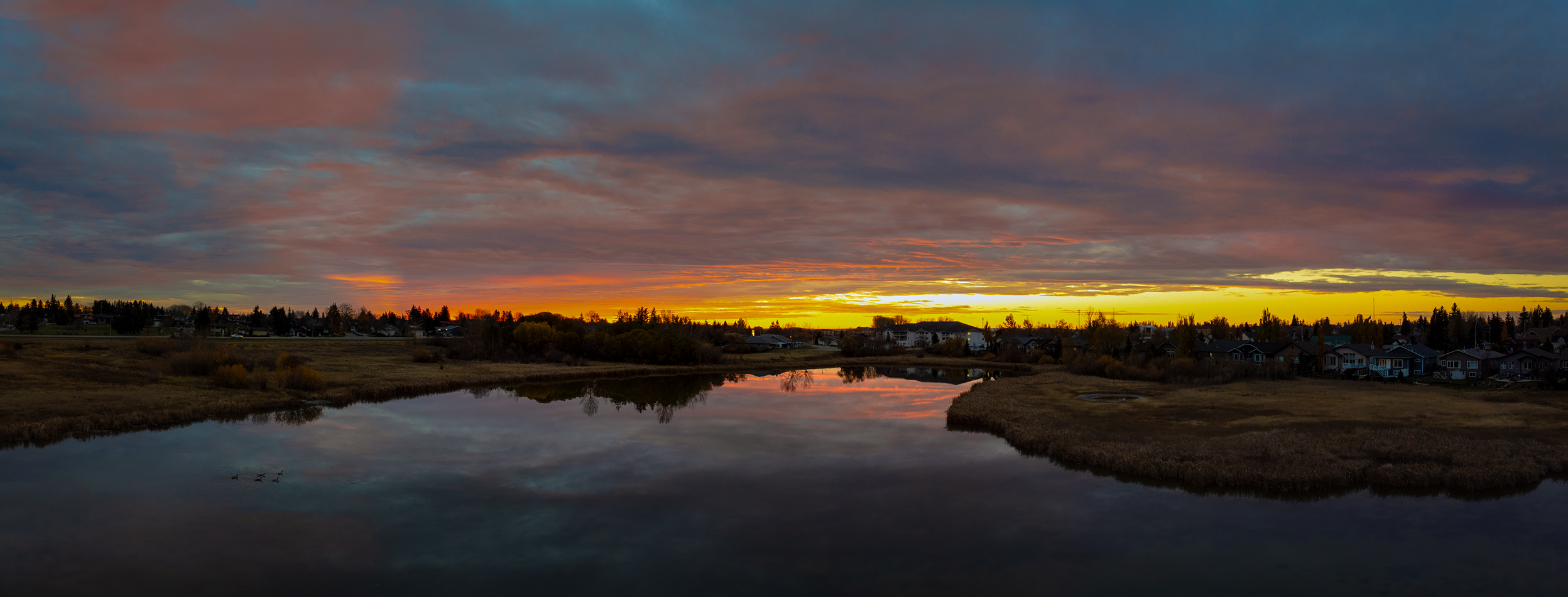 A good start to the day, Lower Gray Pond, Strathmore, Alberta, 2023-08-20