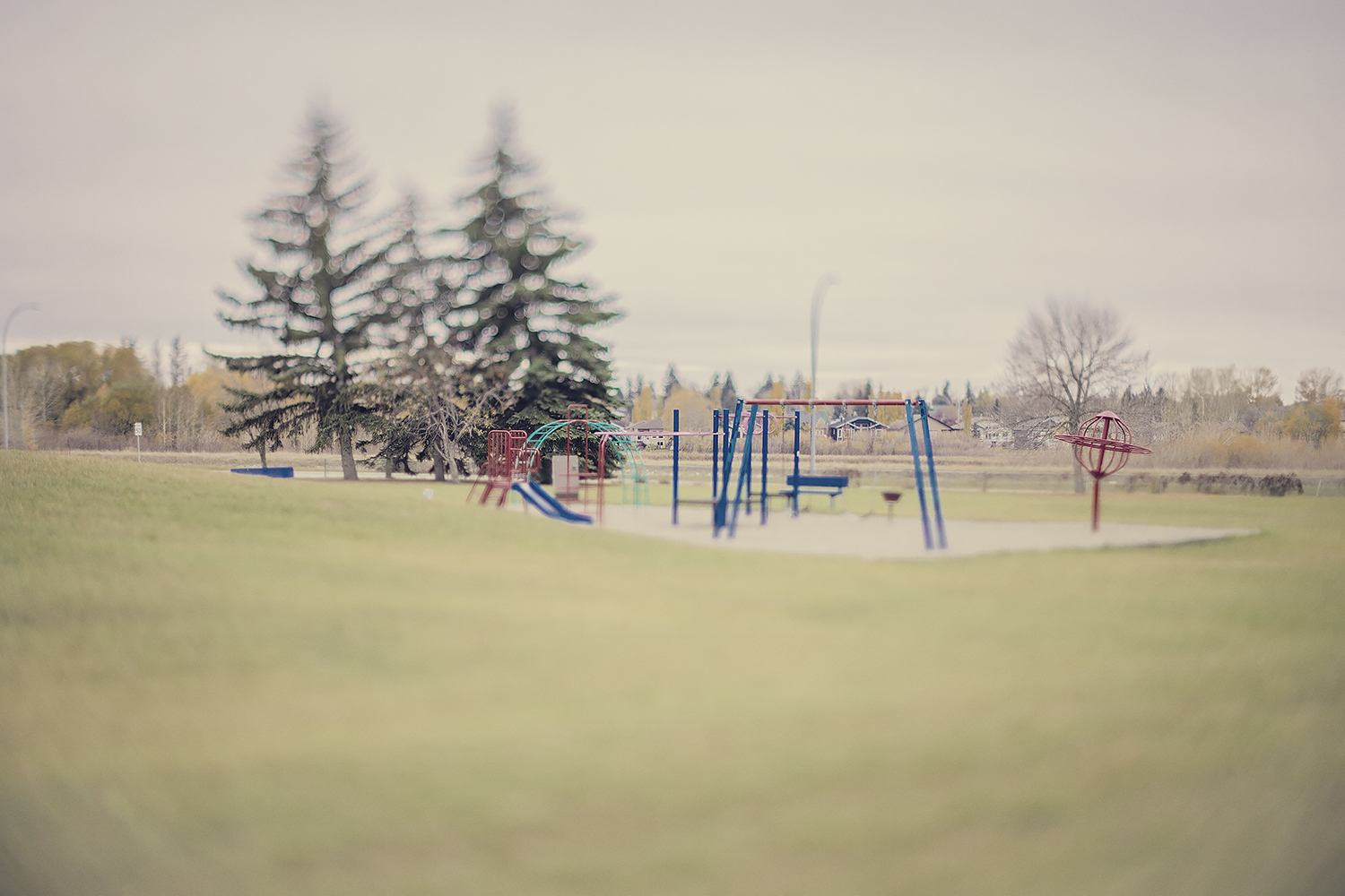 Won't you come out and play, TTArtisan 50mm f.14 Tilt lens test, Strathmore AB, 2023-10-22