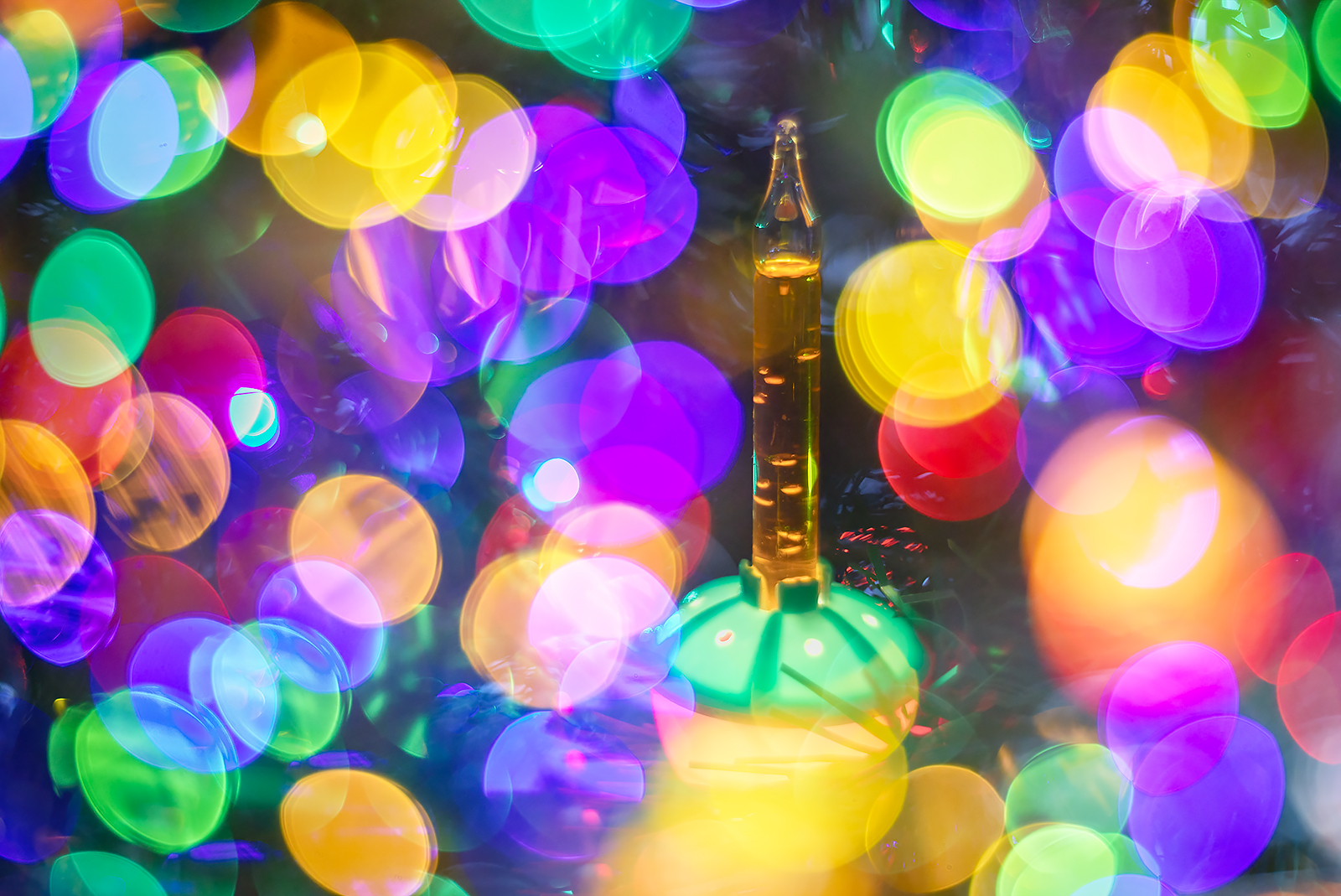 Vintage Bubble Light, Our Christmas Tree, Strathmore, Alberta. 2023-12-09