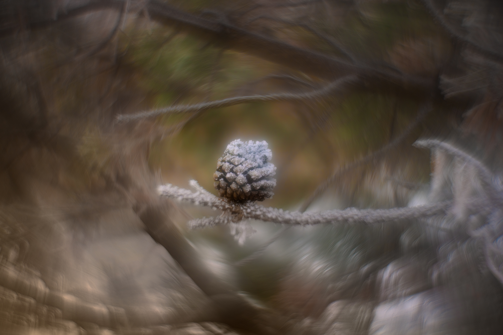 Sno Cone, Helios 44m-2 with reversed front element, Strathmore, Alberta, 2023-12-22
