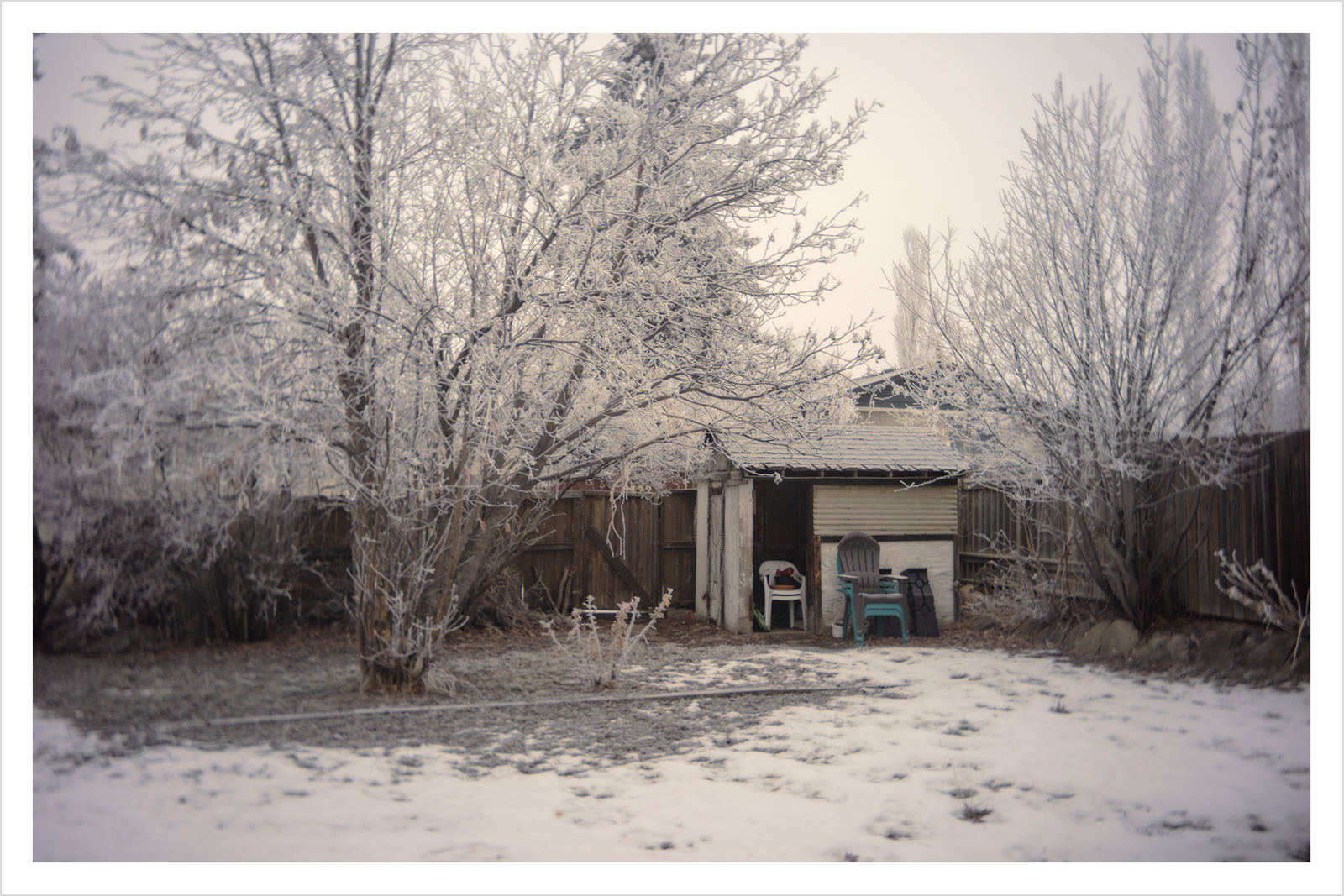 A drib of drab, Kodak Pancake Lens for Canon RF, My Back yard, Strathmore, Alberta, 2024-01-02