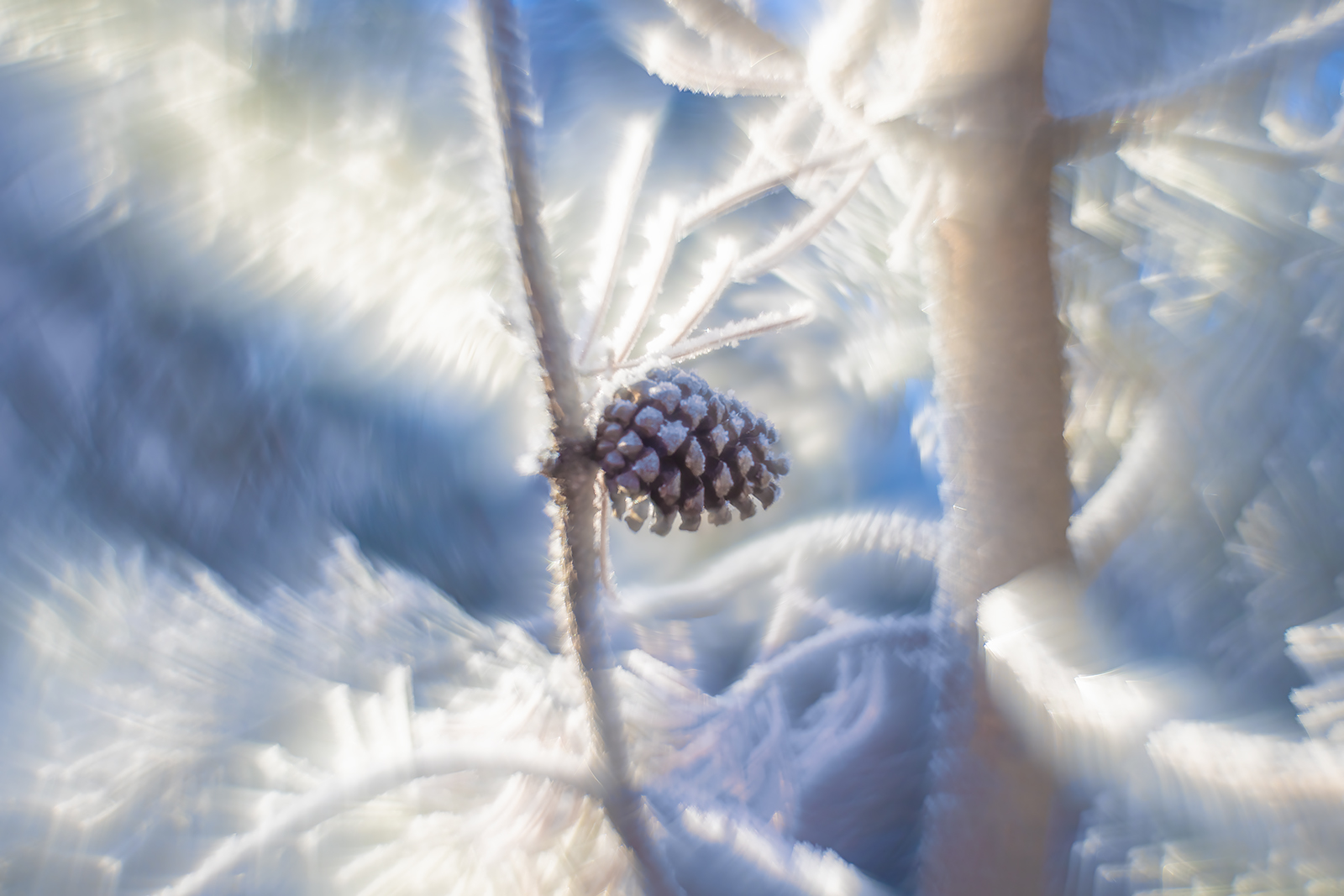 Lone cone, Helios 44m-2 with reversed front element, Strathmore, Alberta, 2024-01-02