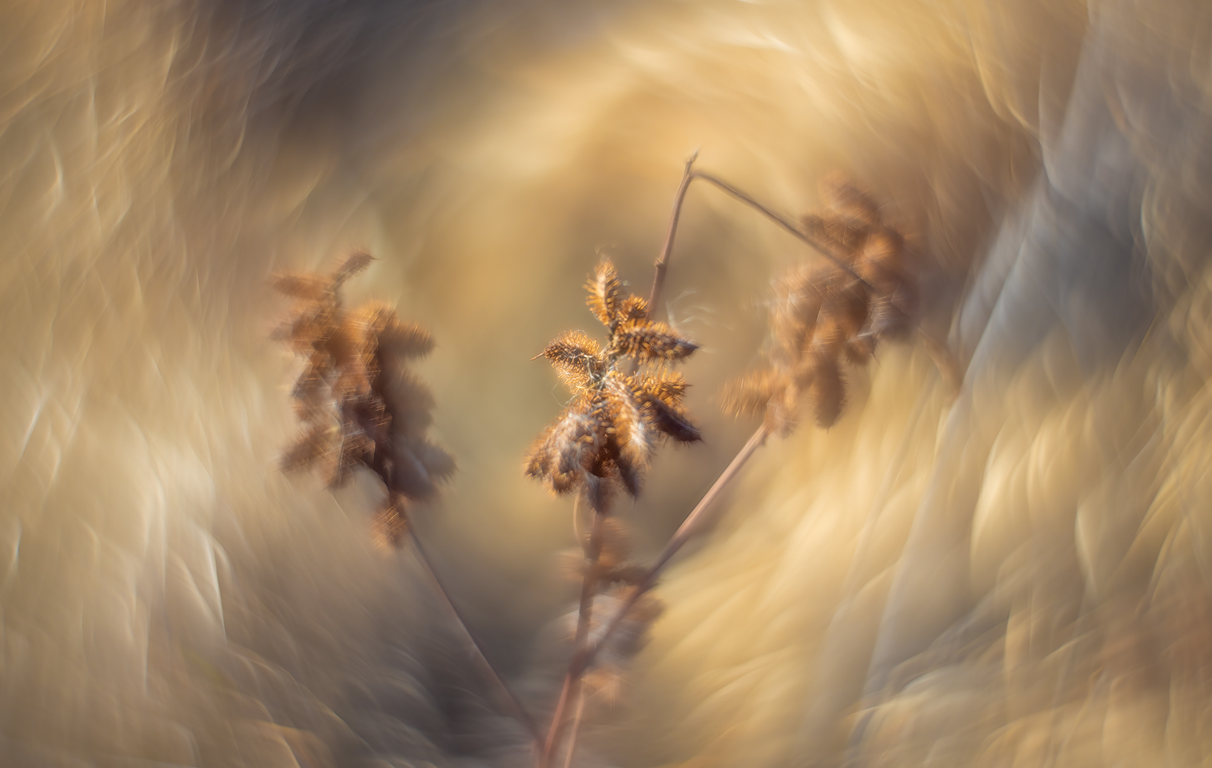 Spiraling into despair, Strathmore, Alberta, 2024-02-02
