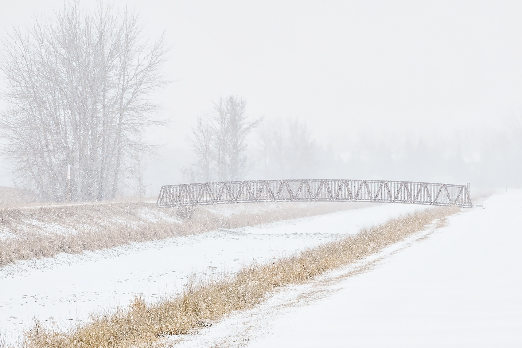 Heading north on the walking path in the snow, Tom Sadler Bridge, Strathmore, Alberta, 2024-02-04 (B&W)