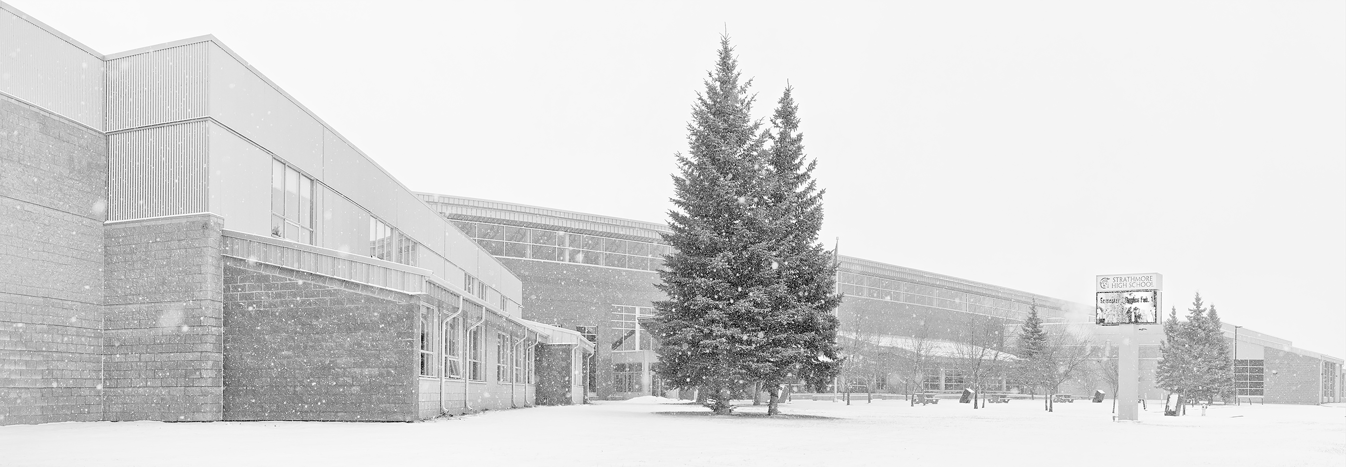 Snowfall panorama, Strathmore High School, Strathmore, Alberta, 2024-02-04 (B&W)
