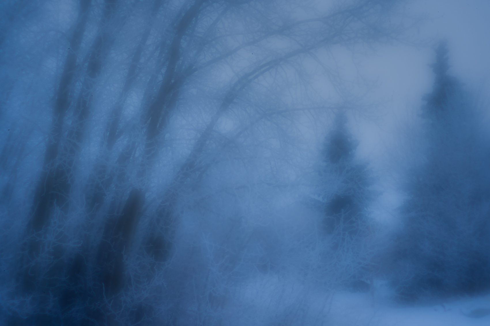 Frost in the failing light, Gray Park, Strathmore, Alberta, 2024-02-07 (Zone plate)