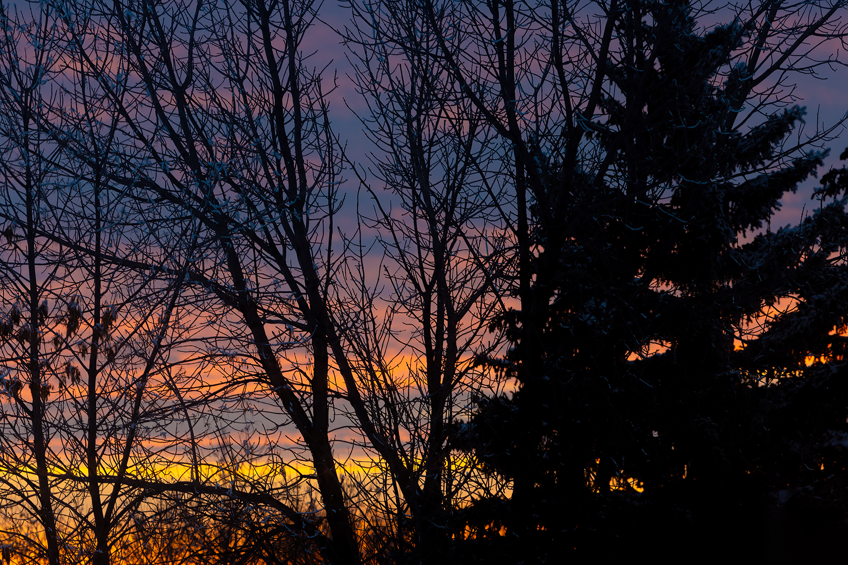 Always look past the obstacles, Thornbriar Green, Strathmore, Alberta, 2024-02-10