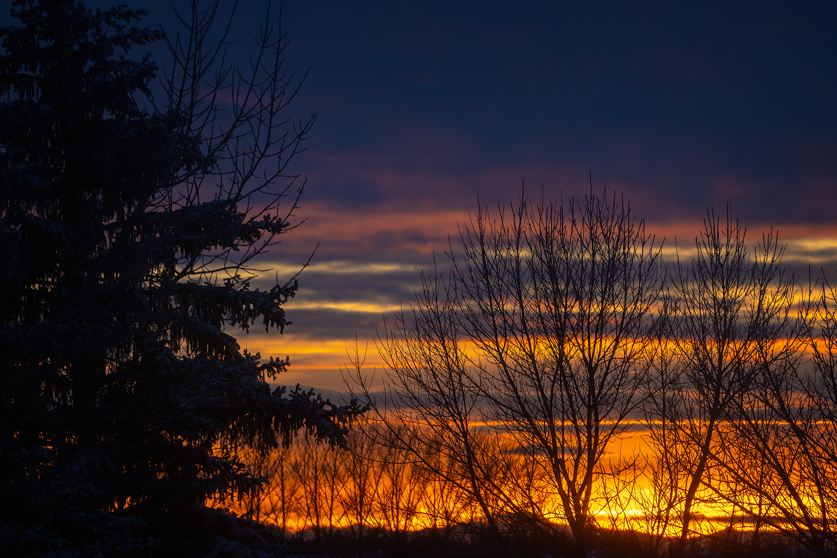 Sunset Silhouette, Landscape, Thornbriar Green, Strathmore, Alberta, 2024-02-10