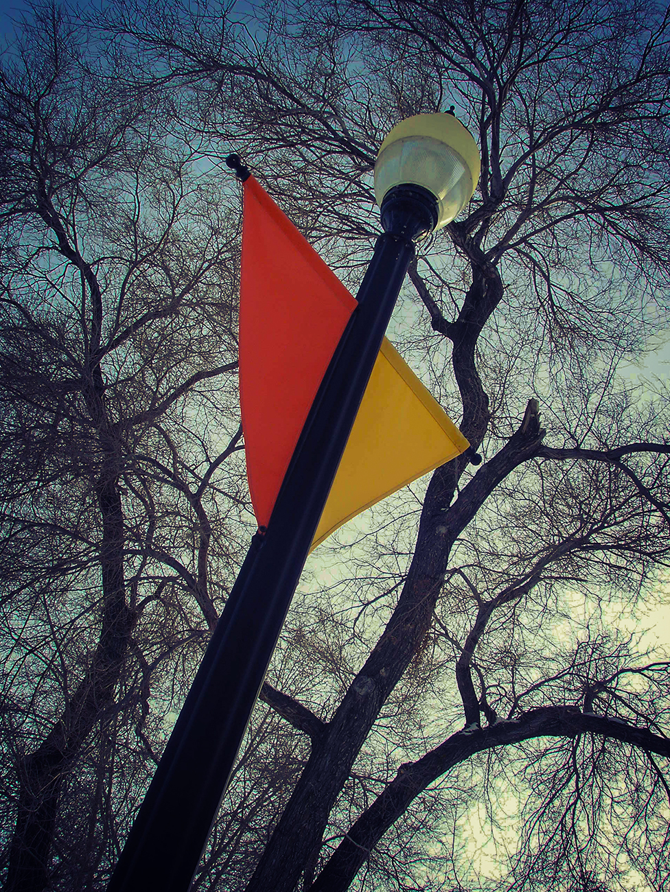 Seeing the light, Lambert Park, Strathmore, Alberta, 2024-02-11a