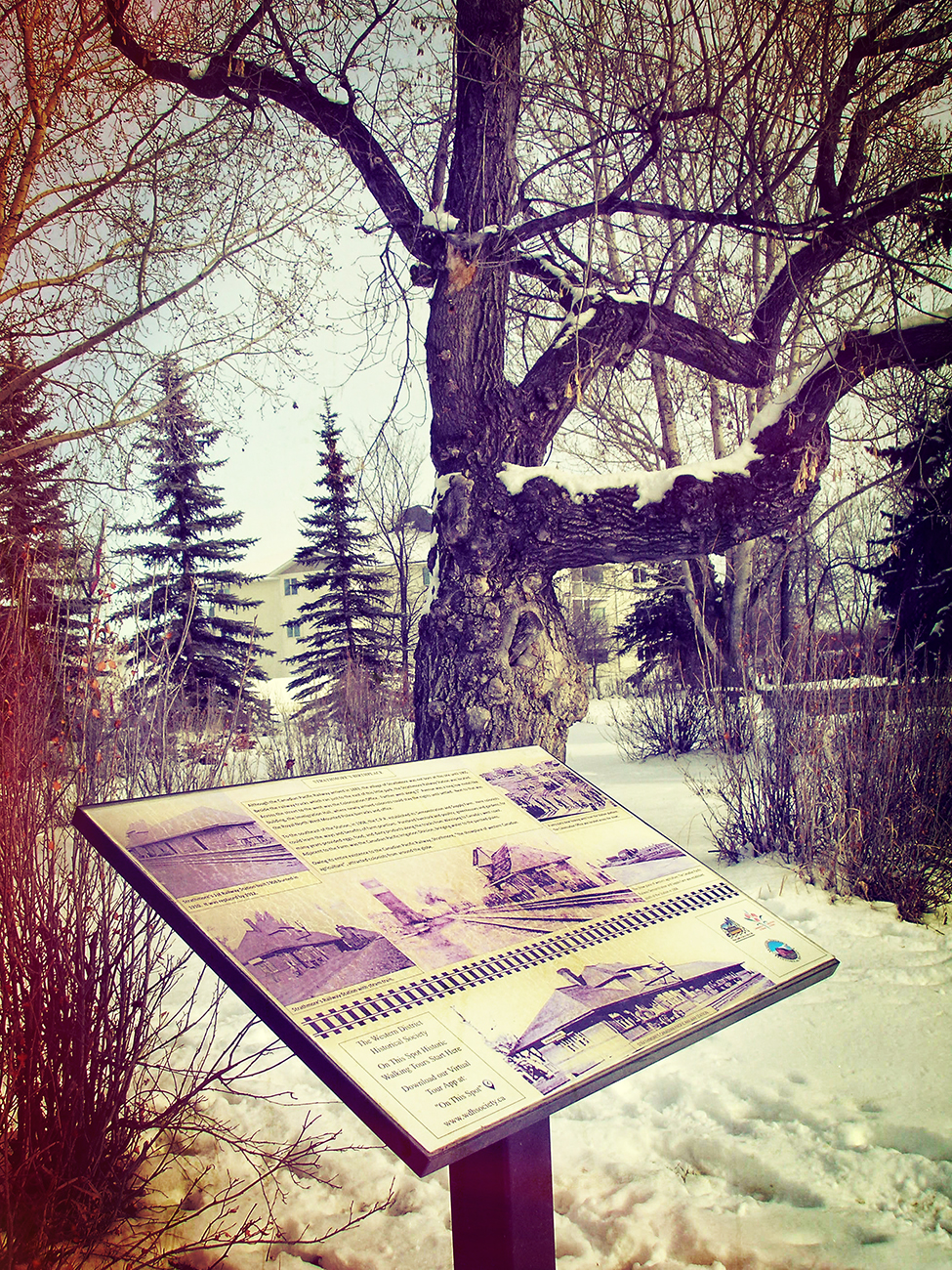 Lambert Station Info, Cross processed, Lambert Park, Strathmore, Alberta, 2024-02-11