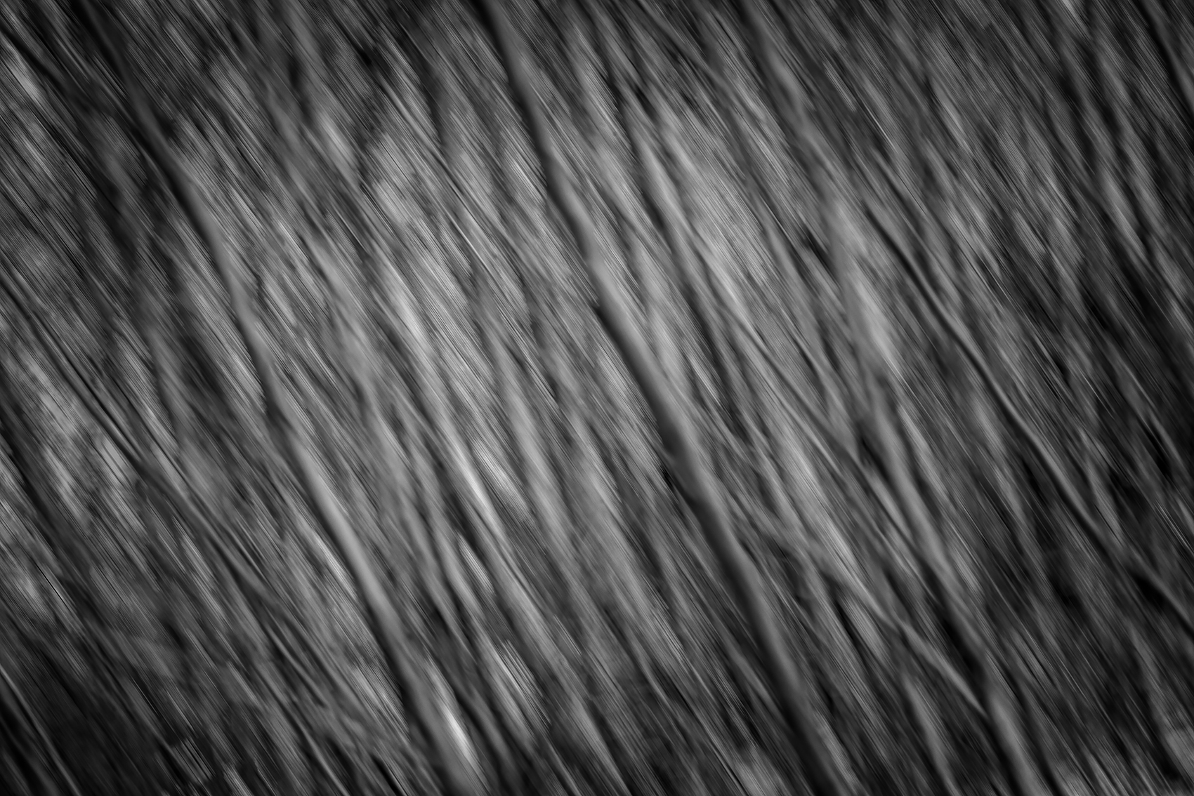 On the move, Gray Park, Strathmore, Alberta, 2024-02-14