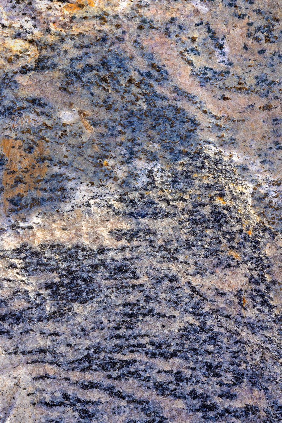 Just a touch of mottling, Gray Park, Strathmore, Alberta, 2024-02-14