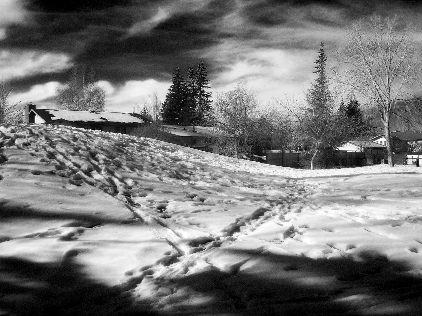 The baby hill, Dinosaur Hill Park, Strathmore, Alberta, 2024-02-19