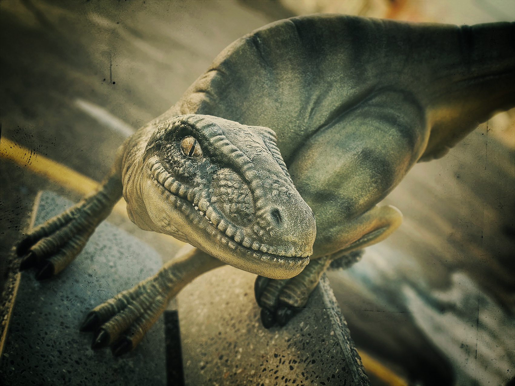Vagabond velociraptor, Drumheller, Alberta, 2024-02-21