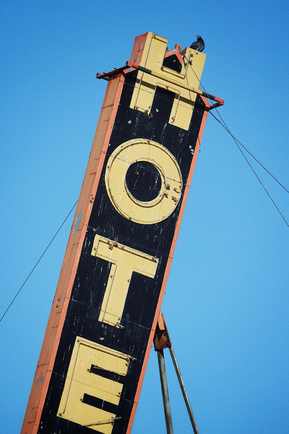 There's always a pigeon, Waldorf Hotel, Drumheller, Alberta, 2024-02-21