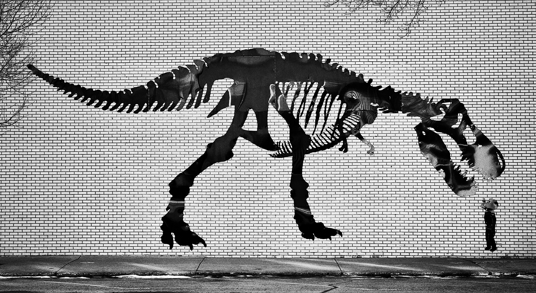 Don't tug on Superman's cape, Drumheller, Alberta, 2024-02-21