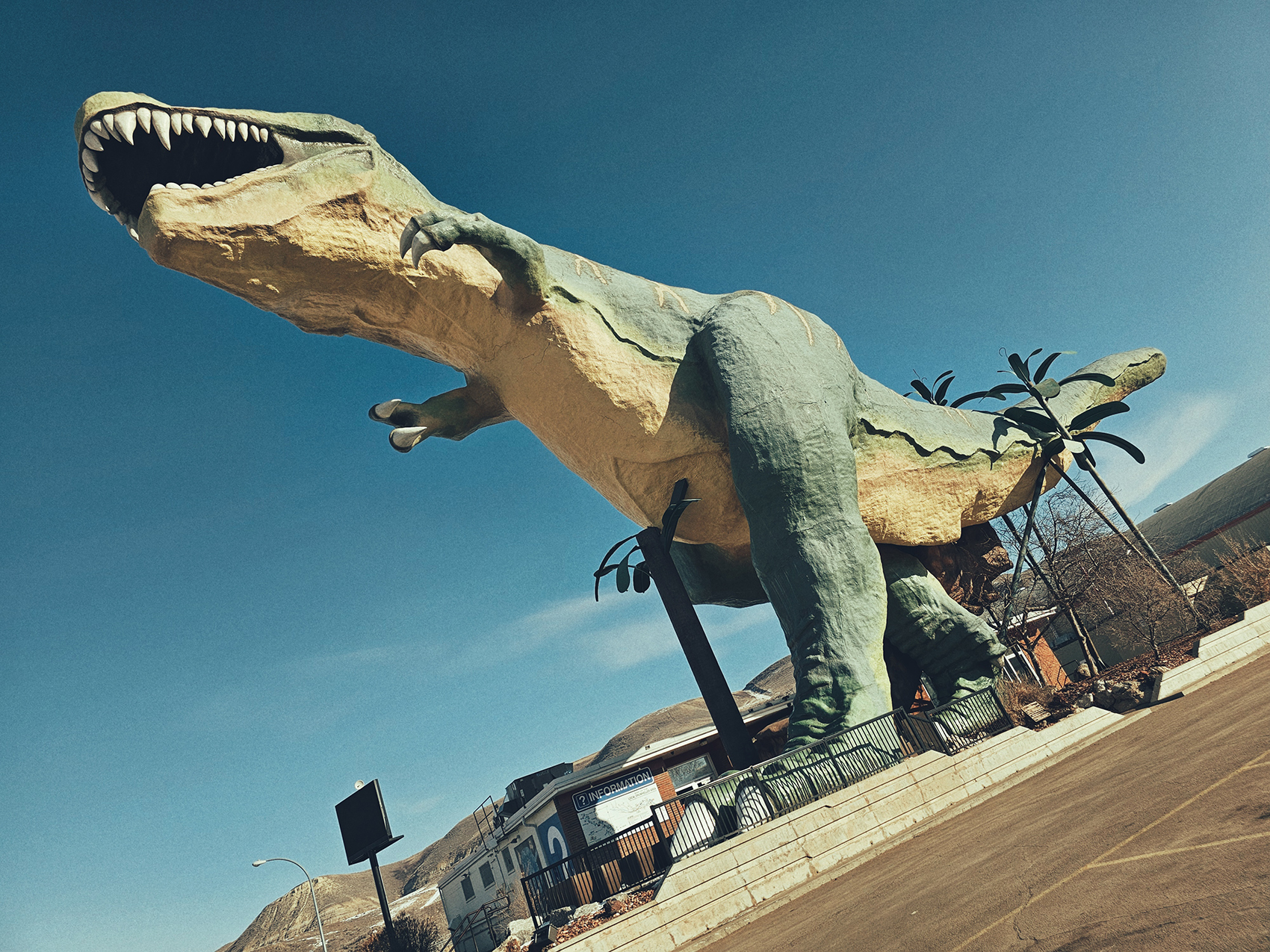 Tyranosaurs Rex, Drumheller, Alberta, 2024-02-21