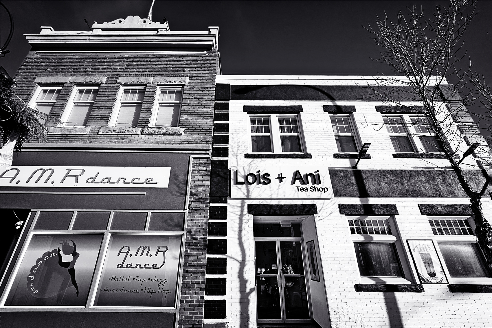 Lois + Ani Tea Shop, Drumheller, Alberta, 2024-02-21