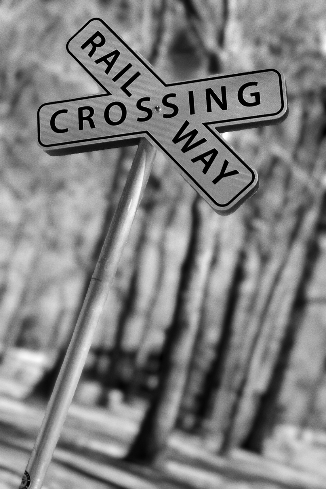 Don't cross me, Bowness Park, Calgary, Alberta, 2024-02-23