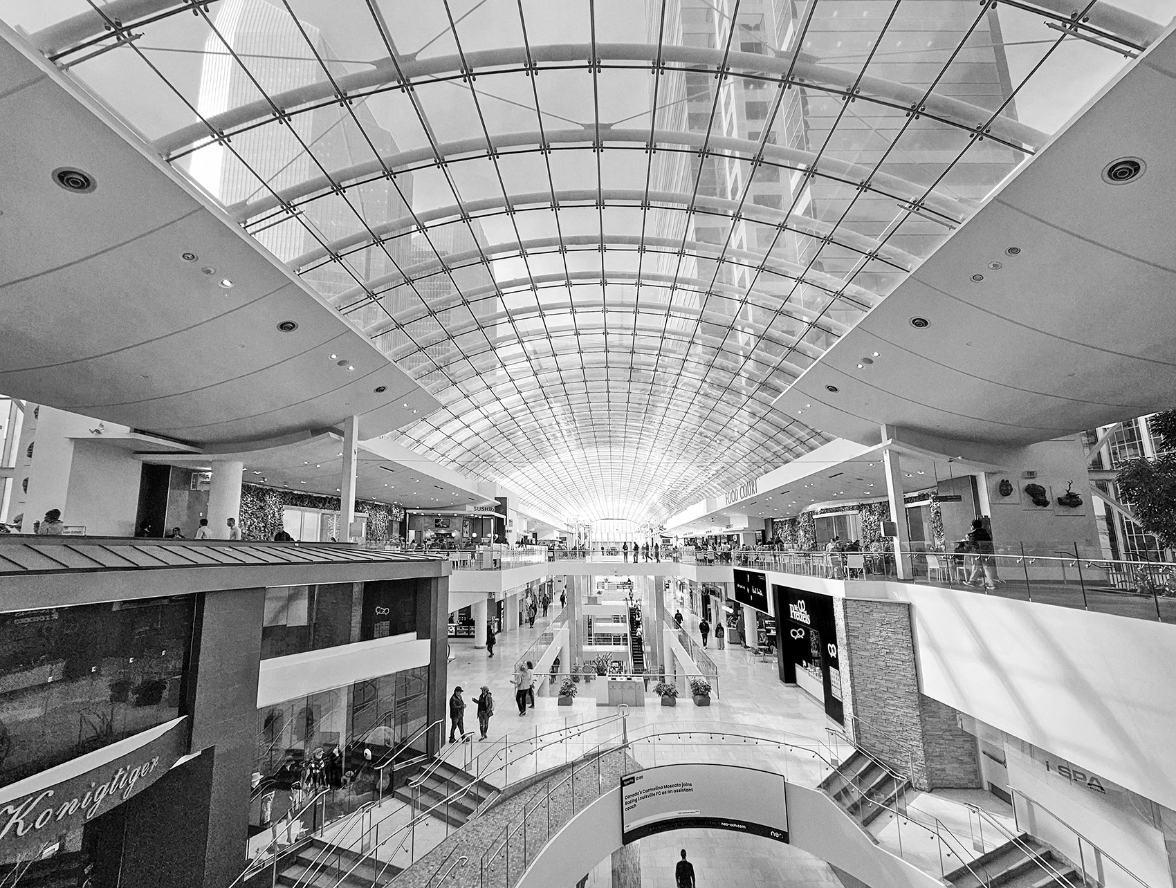 4th Level, Asymetric Curves, The Core, Calgary, Alberta, 2024-02-22