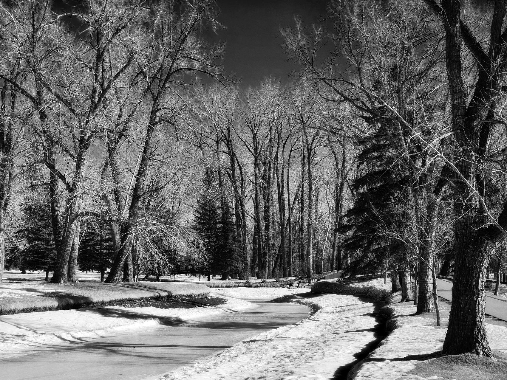 Skate your heart out, Bowness Park, Calgary, Alberta, 2024-02-23