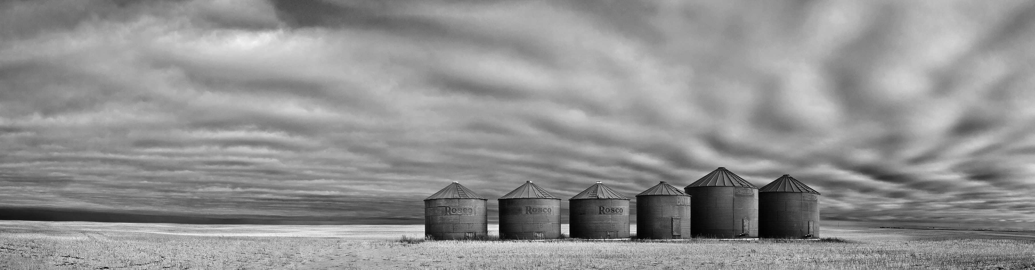 Bins against a prairie sky, Wheatland County, Alberta, 2024-02-24