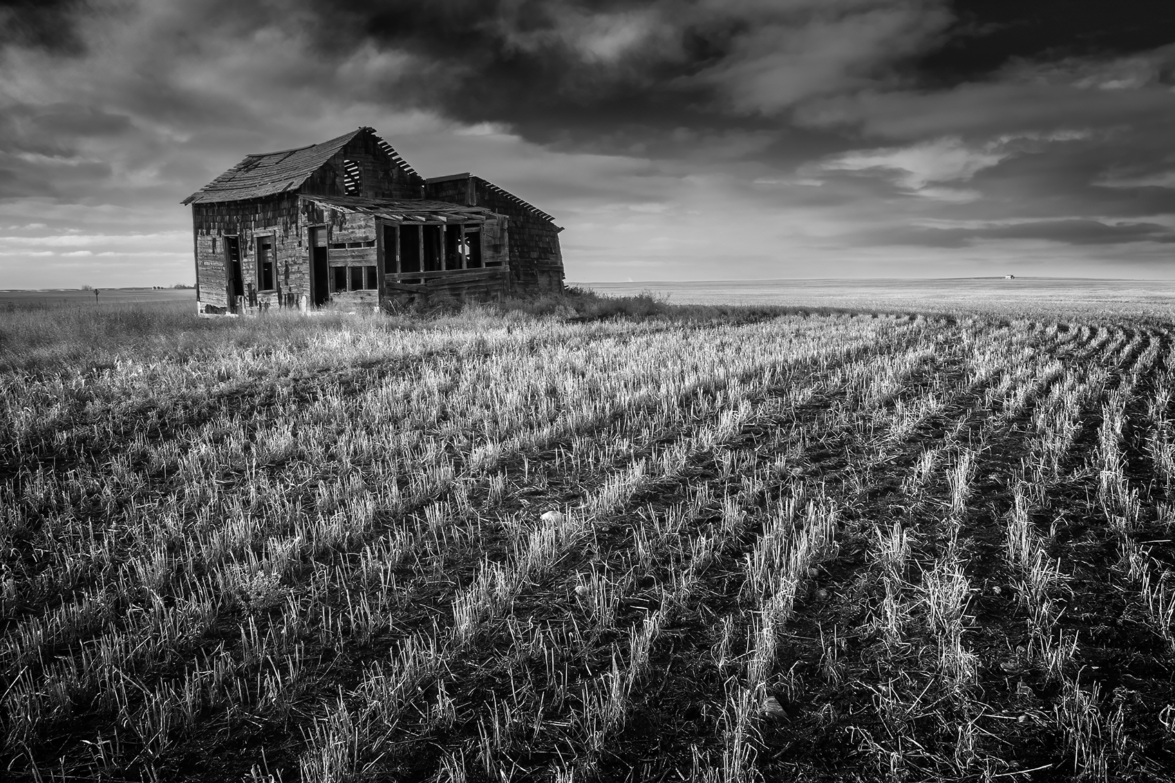 Homestead South of Mossleigh, Vulcan County, Alberta, 2024-02-29