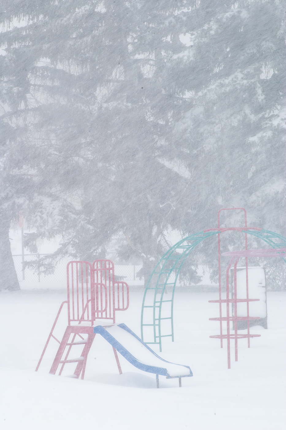 Coming in Thicker, Thornbriar Green, Strathmore, Alberta, 2024-03-02