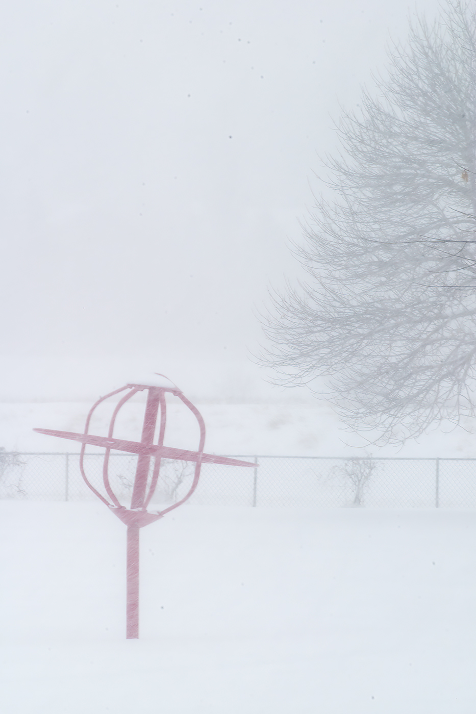 No Kids Today, Thornbriar Green, Strathmore, Alberta, 2024-03-02