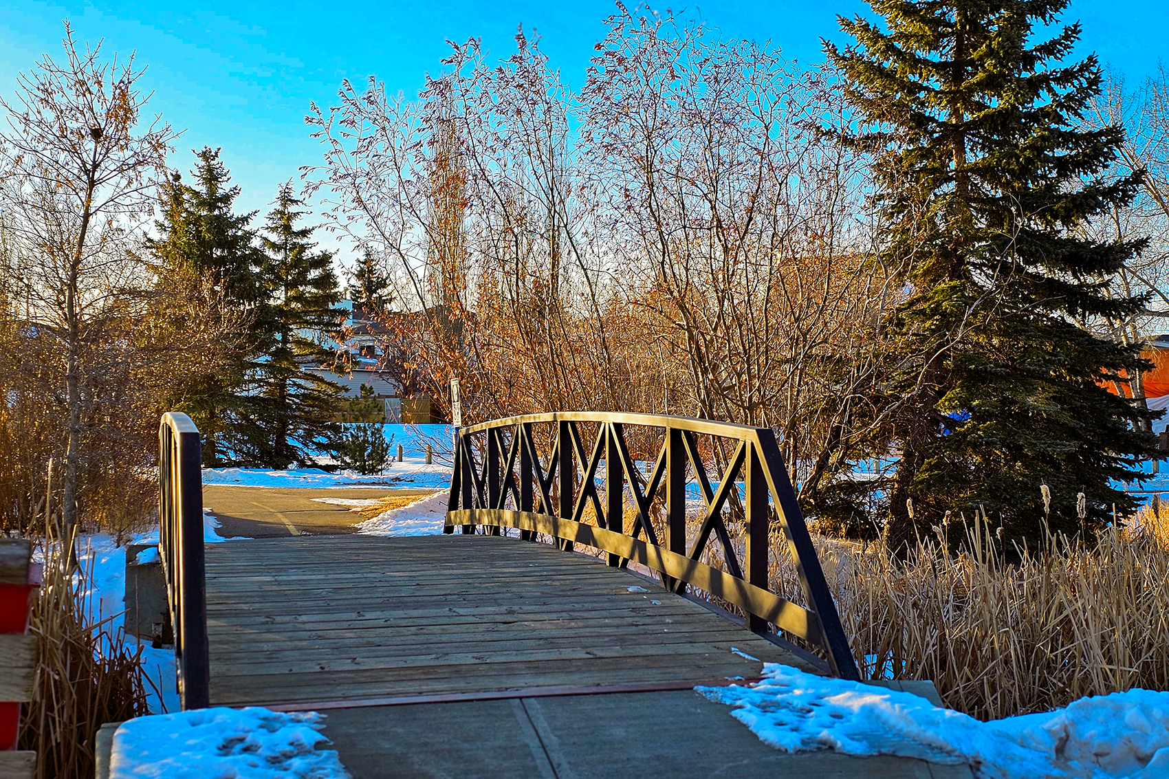 Walking bridge, Telford Lake, Leduc, Alberta 2024-03-10