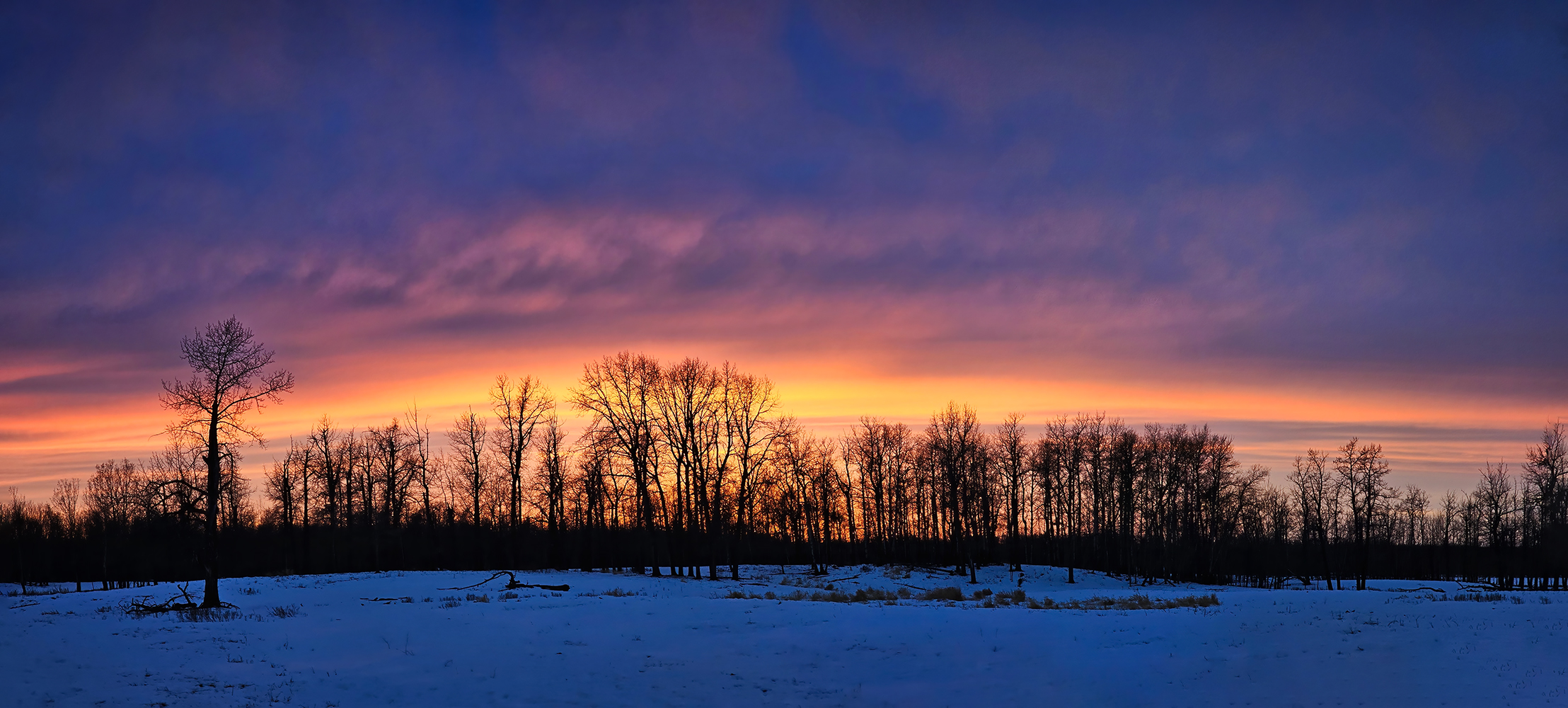 Last light, Elk Island National Park, Alberta. 2024-03-10