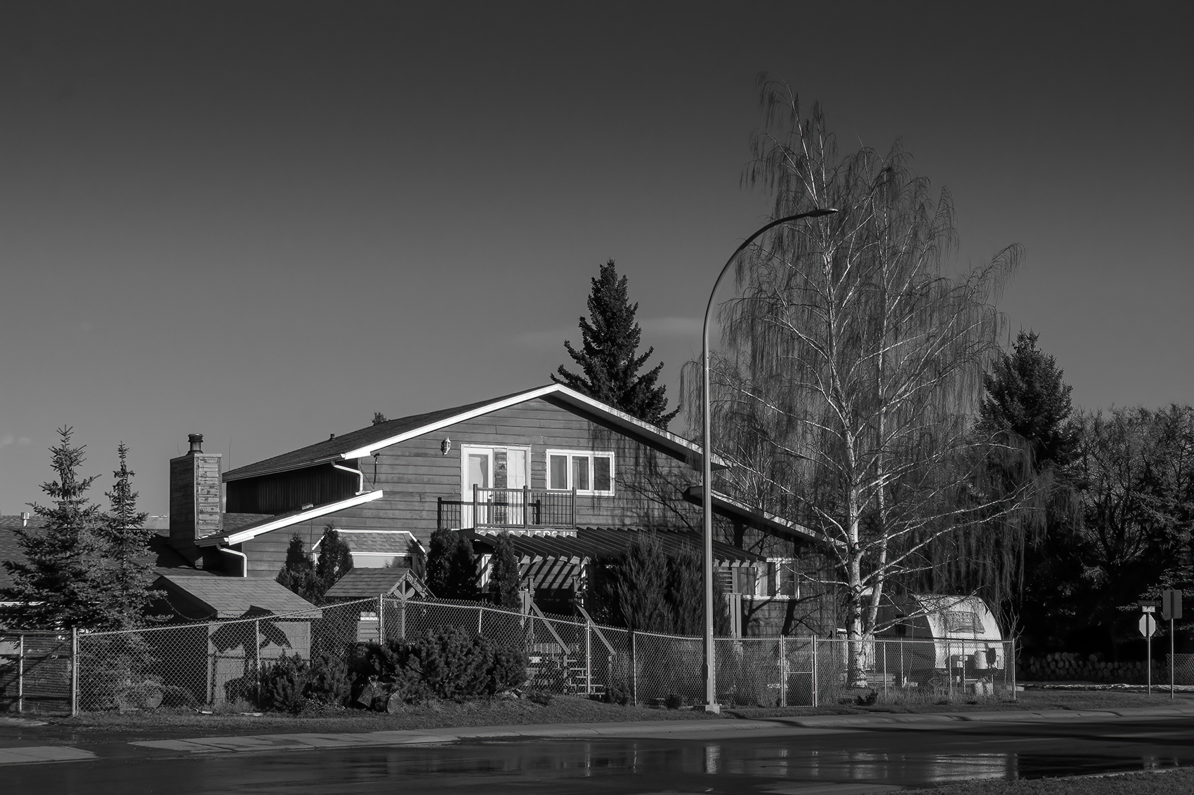 Local character, Thomas Drive, Strathmore, Alberta, 2024-03-12