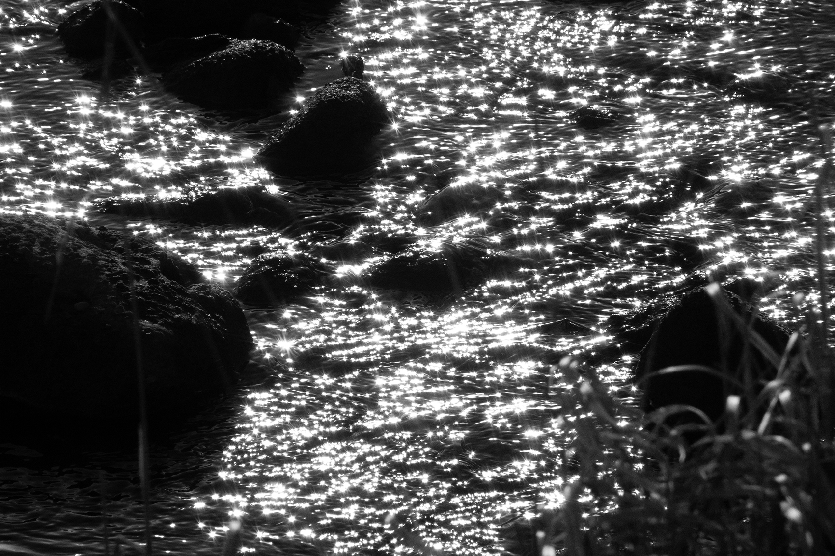 Snow runoff, Tom Sadler Bridge, Strathmore, Alberta, 2024-03-12