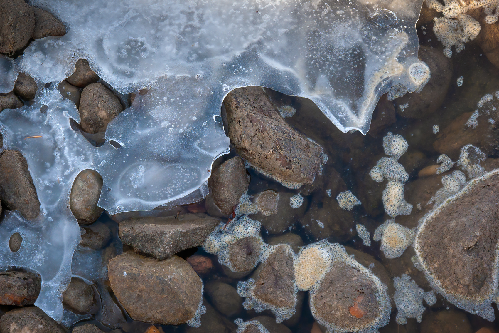 On the rocks, Tom Sadler Bridge, Strathmore, Alberta, 2024-03-16
